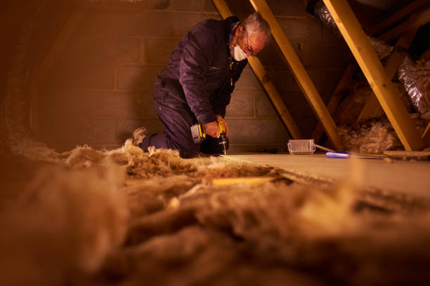 Best Geographic-Specific Insulation Services in Mcdonald, OH